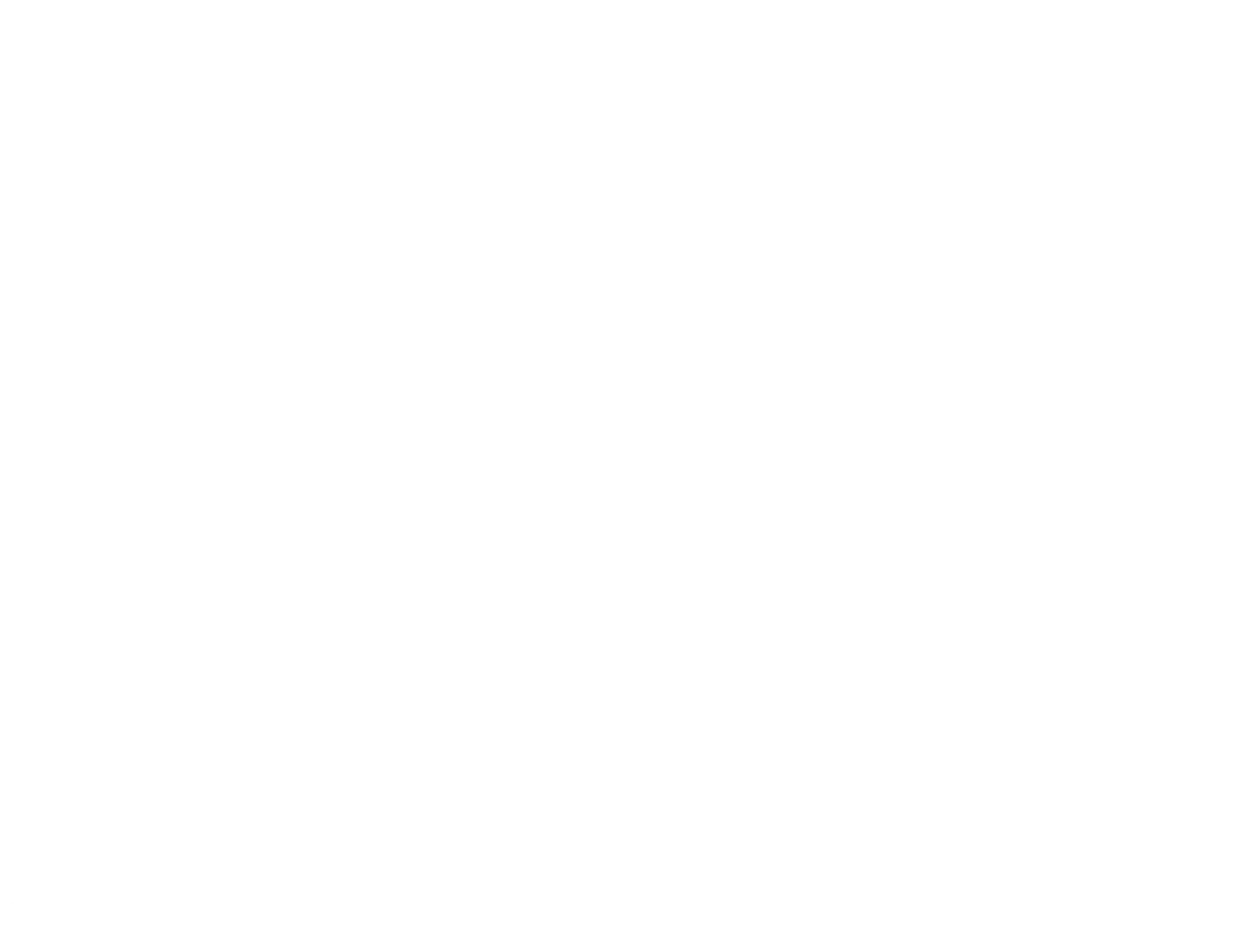 Raven Vista Logo